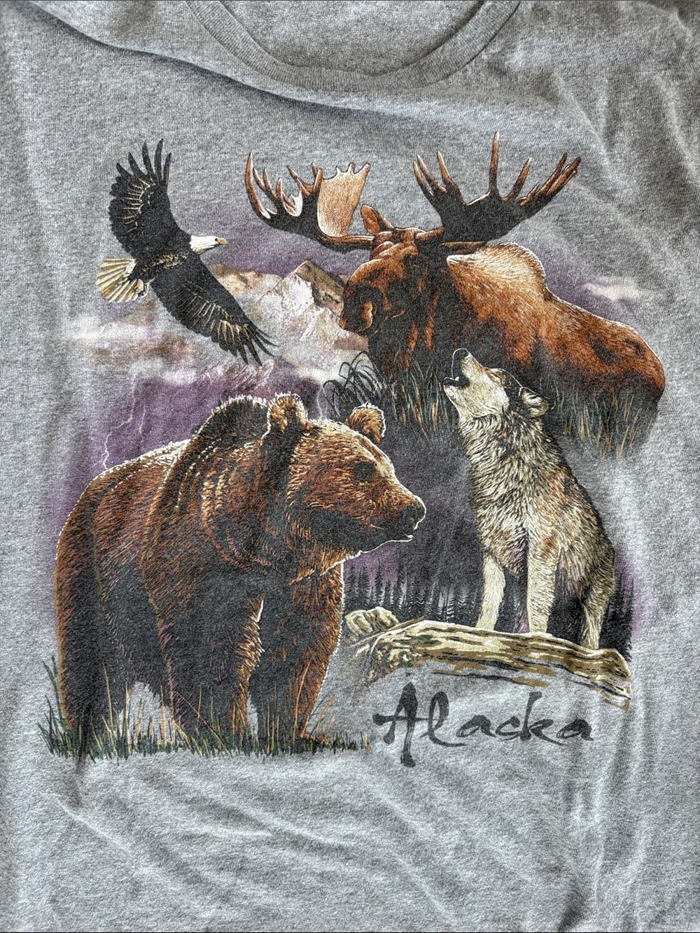 Alaska T-Shirt - Picture 3 of 6